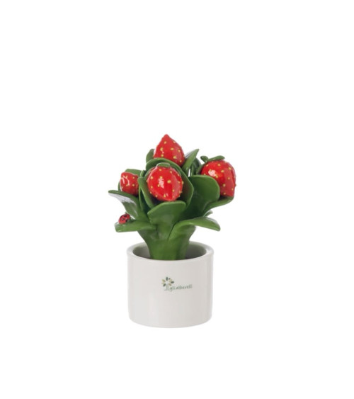 PIANTINA FRAGOLA